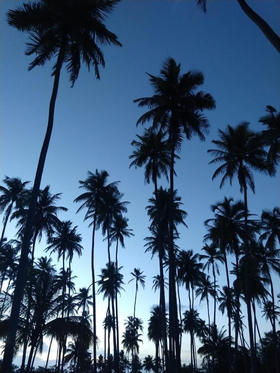 Hotel D'Anatureza Maceió エクステリア 写真